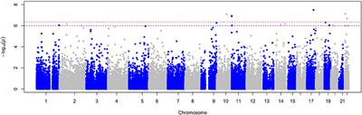 Exome-Wide Meta-Analysis Identifies Rare 3′-UTR Variant in ERCC1/CD3EAP Associated with Symptoms of Sleep Apnea